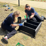 Two Insite employees painting the base of a goat enclosure black.