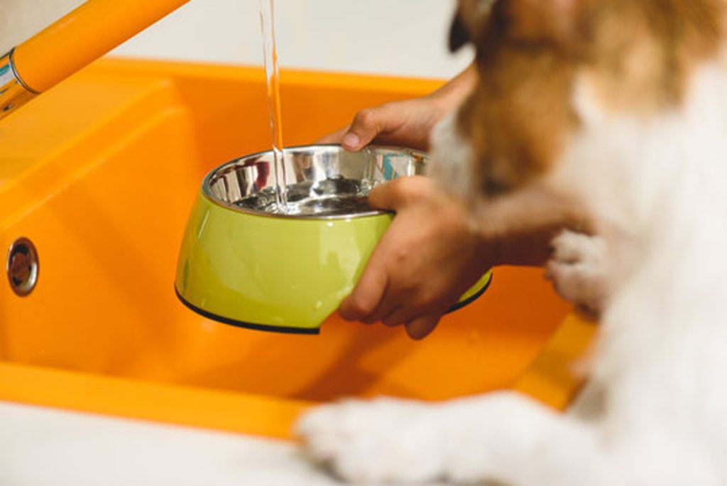 A person fills a stainless steel dog water bowl under a running tap while a dog waits beside an orange sink.